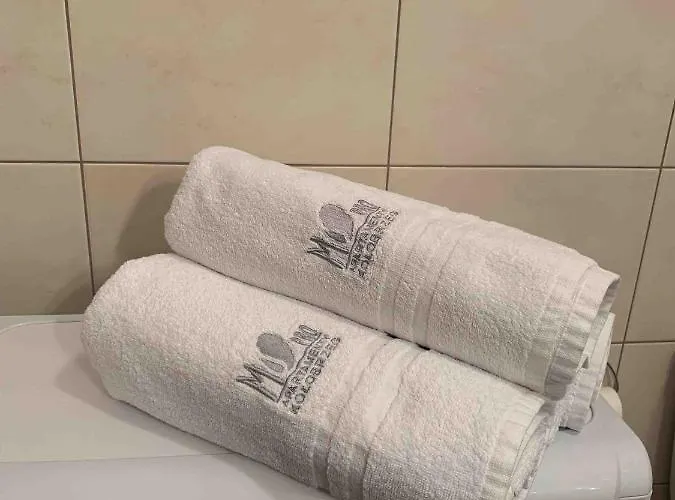 Ms Pro Comfort Class *